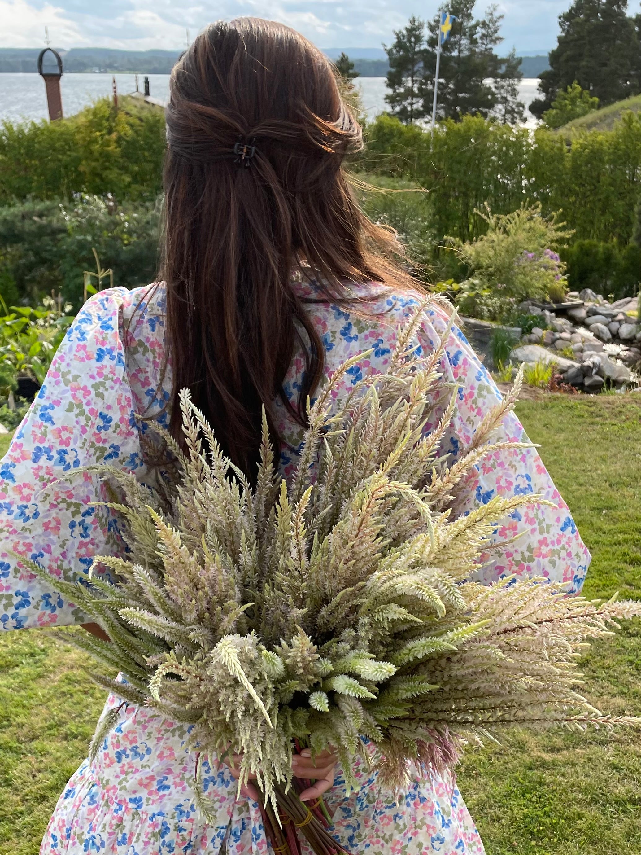 Celosia ’Honey Mist’