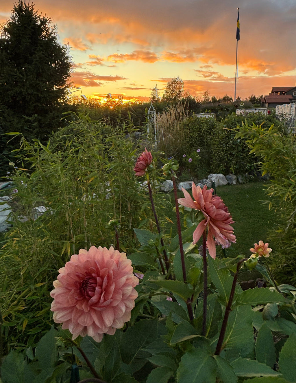 Château de la Bourdaisière